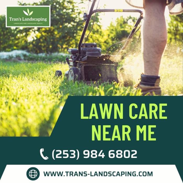Lawn care around me