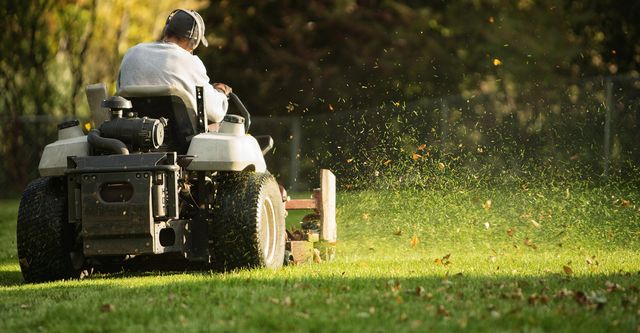 Best Yard Care Near Me Expert Local Guides