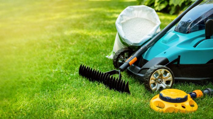 Green lawn care near me