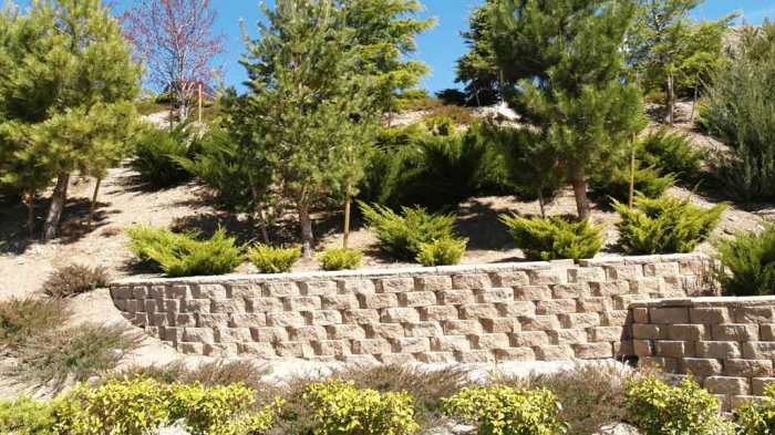 Patio and retaining wall contractors near me
