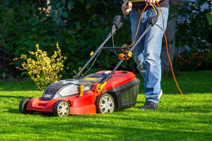 Best lawn care in my area