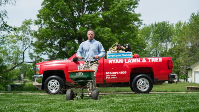 Best lawn care in my area