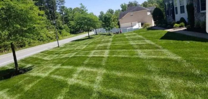Lawn care around me