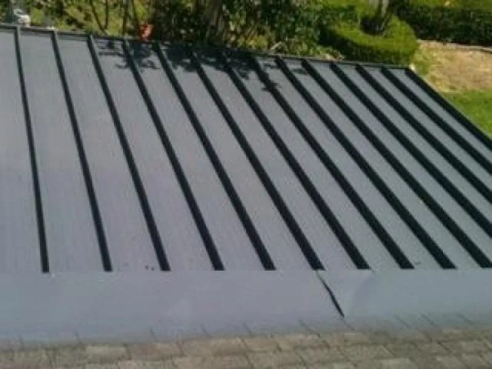 Paint rhino rhinoshield reviews house shield georgia coating exterior adinaporter