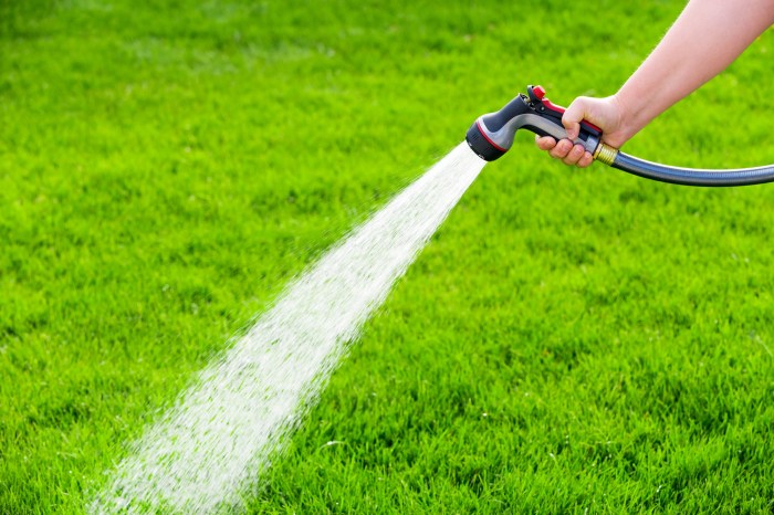 Lawn fertilizer weed boise weeds cost