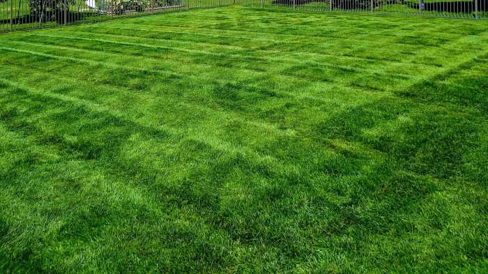Lawn care services nj medford company maintenance we