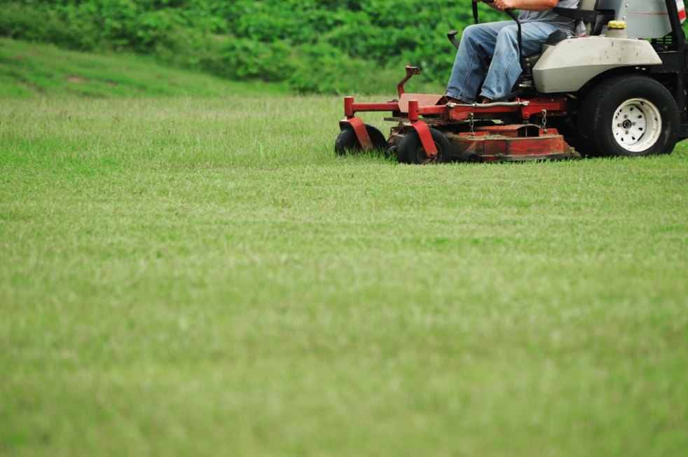Top rated lawn care companies near me
