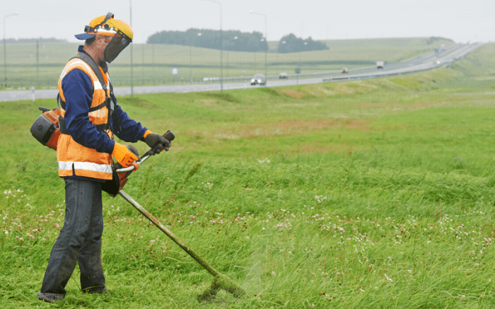 Top rated lawn care companies near me