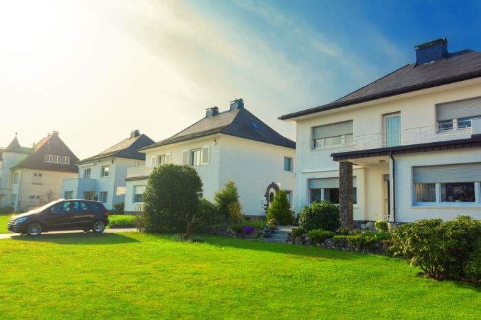 Wooded mowing mantenimiento césped perfecto