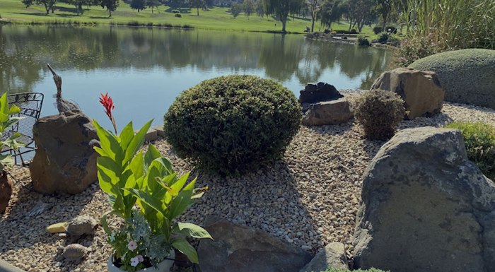 Best lawn care company near me