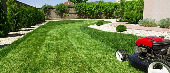 Best lawn care in my area